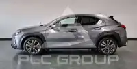 2019 Lexus UX250