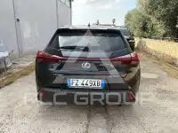 2019 Lexus UX250