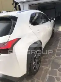 2019 Lexus UX250
