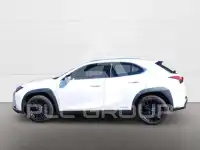 2019 Lexus UX250