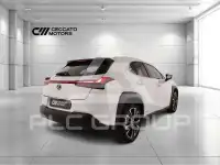 2019 Lexus UX250