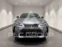 2019 Lexus UX250