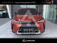 2019 Lexus UX250
