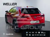 2019 Lexus UX250