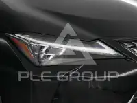 2019 Lexus UX250