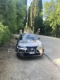 2019 Lexus UX250