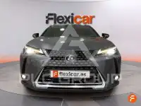 2019 Lexus UX250