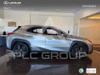 2019 Lexus UX250