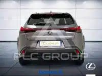 2019 Lexus UX250