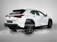 2019 Lexus UX250
