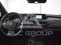 2019 Lexus UX250