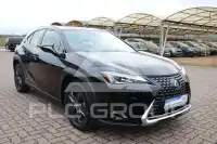 2019 Lexus UX250