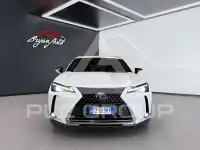 2019 Lexus UX250