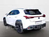 2019 Lexus UX250