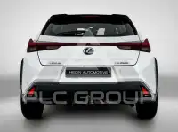2019 Lexus UX250