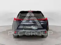 2019 Lexus UX250