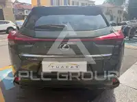 2019 Lexus UX250