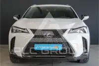 2019 Lexus UX250