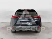 2019 Lexus UX250