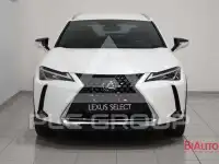 2019 Lexus UX250