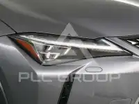 2019 Lexus UX250
