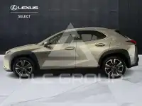 2019 Lexus UX250