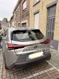 2019 Lexus UX250