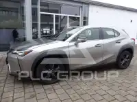 2019 Lexus UX250