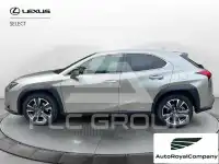 2019 Lexus UX250