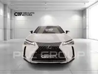 2019 Lexus UX250