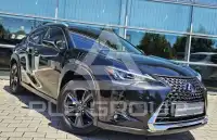 2019 Lexus UX250