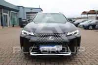 2019 Lexus UX250