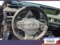 2019 Lexus UX250