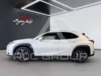 2019 Lexus UX250