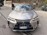 2019 Lexus UX250