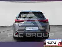 2019 Lexus UX250