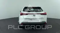 2019 Lexus UX250