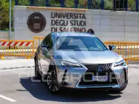 2019 Lexus UX250