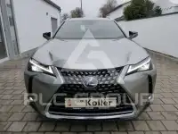 2019 Lexus UX250