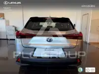 2019 Lexus UX250