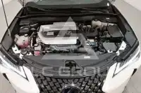 2019 Lexus UX250