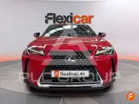 2019 Lexus UX250