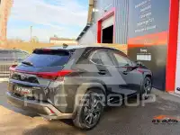 2019 Lexus UX250