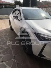 2019 Lexus UX250