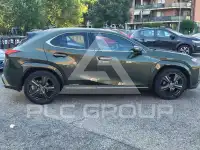 2019 Lexus UX250