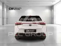 2019 Lexus UX250
