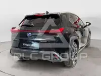 2019 Lexus UX250
