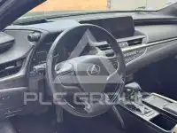 2019 Lexus ES300