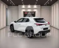 2019 Lexus UX200