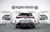 2019 Lexus UX250